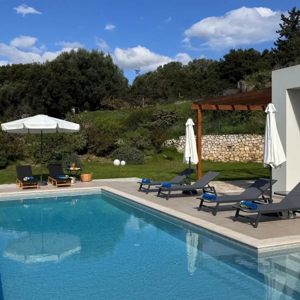 Image depicting the sunbed area and the garden