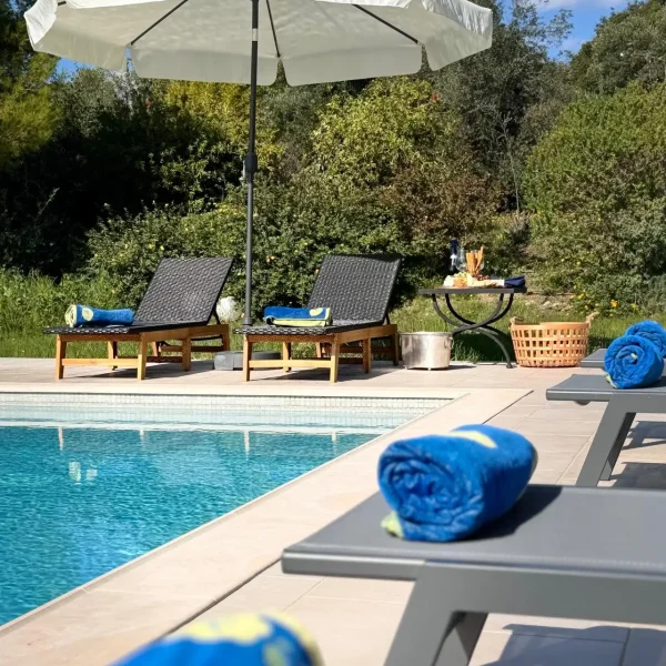 Image depicting sunbeds with towels and the garden behind