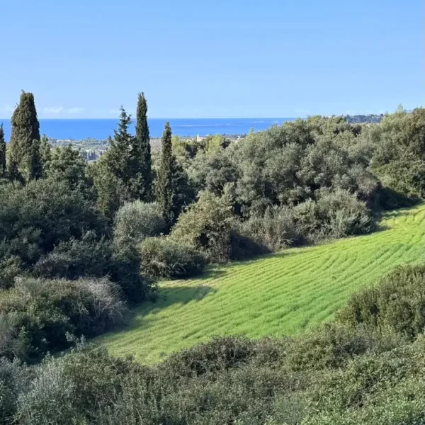 Image depicting the view towards the Ionian Sea